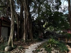 -西湖公园(鼓楼区)