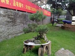 -天怡·鱼工厂(临江店)