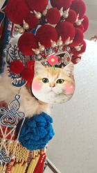 -梨园天地京剧摄影(玲珑天地店)