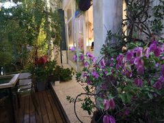 -春树下·树屋花房西餐厅(罍街AS1980店)