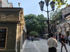 -IL TEATRO 精品意大利餐厅