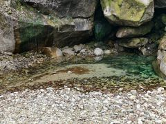 -罗田天堂寨风景区