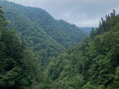 -凤凰山国家森林公园
