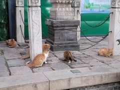 -鲍师傅糕点(海陵北路店)
