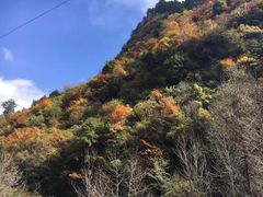 -孟屯河谷景区
