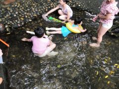 -成都市活水公园