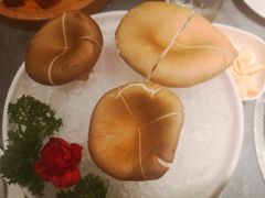 -湯系餐室(苏宁广场店)