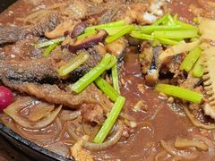 -老板恋上鱼(恒隆广场店)