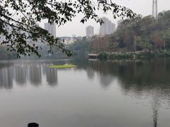-重庆彩云湖湿地公园