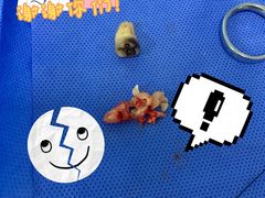 -华西牙科·四川口腔医院
