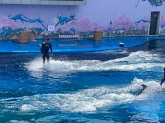 -北戴河圣蓝海洋公园