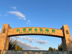 -北京野生动物园