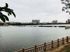 沿河栈道&nbsp;-长白岛森林公园