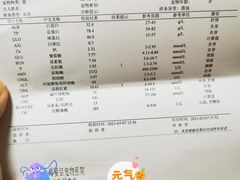 -爱侣宠医·鹦鹉专科·小型哺乳类·异宠专科(灵石路店)