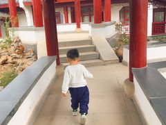 -堤角公园