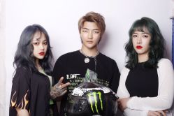 点击看大图 -金棕榈