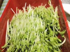 -番食园鲜食火锅(高新店)