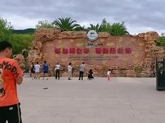 -世界恐龙谷景区