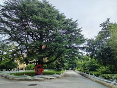 -青岛德国总督楼旧址博物馆