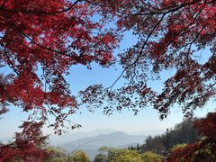 -莫干山风景区