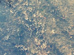 -合肥三国新城遗址公园