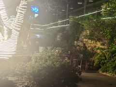 -老幺泉水鸡