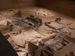 -洛阳周王城天子驾六博物馆