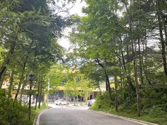 -洛阳白云山景区