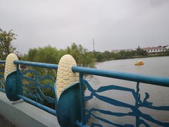 -上海长兴岛郊野公园