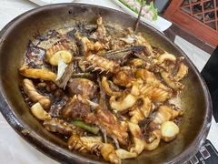 -源港渔村-中山脆肉鲩(博罗店)