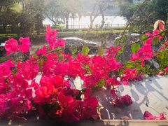 -时光花园(白鹭洲店)