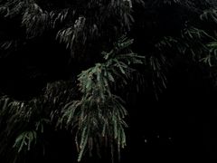 -山王坪喀斯特国家生态公园
