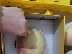 -老袁家蜜桃农场·阳山水蜜桃