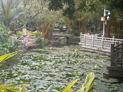 -晓港公园