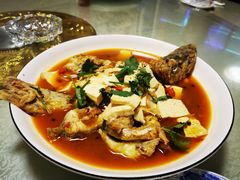 -煲来饱去冷水鱼