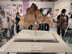 -北京周口店北京人遗址博物馆