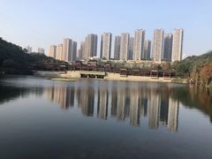 -重庆彩云湖湿地公园