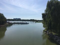 -大兴滨河森林公园