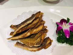 小黄鱼-祥记餐饮•豫粤珍味(金隅大厦店)