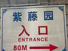 -嘉定紫藤园
