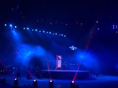 -灵玲国际马戏城