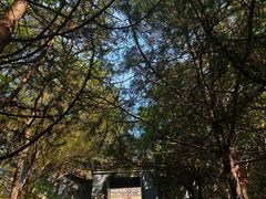 -白水寺森林公园