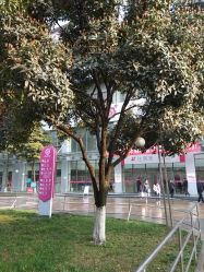 -成都市妇女儿童中心医院(中心院区)