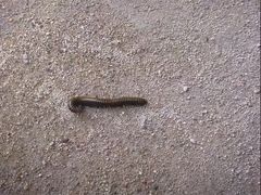 -碓臼峪自然风景区