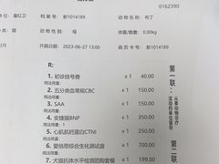 -申普宠物医院·心脏介入·心血管微创(总院)