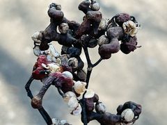 -南山风景名胜区