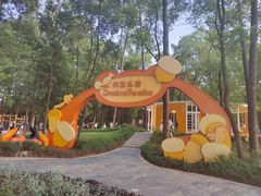 -东湖落雁景区