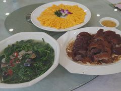 -姚林轩