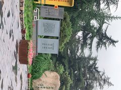 -西苑公园