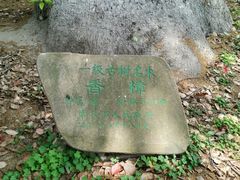 -兴福禅寺